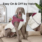 Detachable Hooded Dog Coat with Harness for Small Dogs,Super Warm Fleece Puppy Jacket for Cold Winter Doggie Coats,Red S
