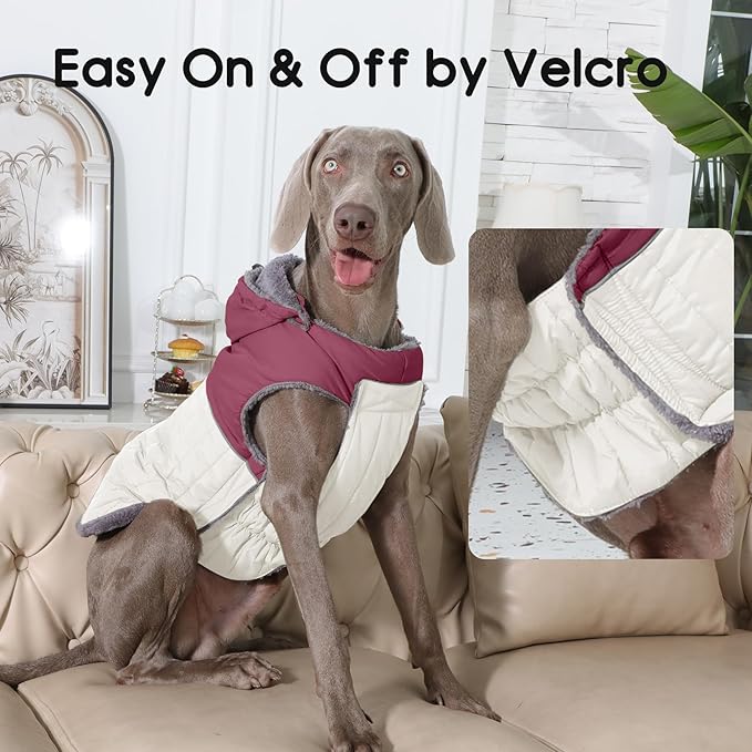 Detachable Hooded Dog Coat with Harness for Small Dogs,Super Warm Fleece Puppy Jacket for Cold Winter Doggie Coats,Red S