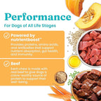 Solid Gold Healthy Dog Treats - Functional Beef Soft Dog Treat w/Salmon Oil & Superfoods for Gut Health & Performance for Active Dogs - Healthy Training Treats for Dogs of All Ages & Sizes - 5.2oz