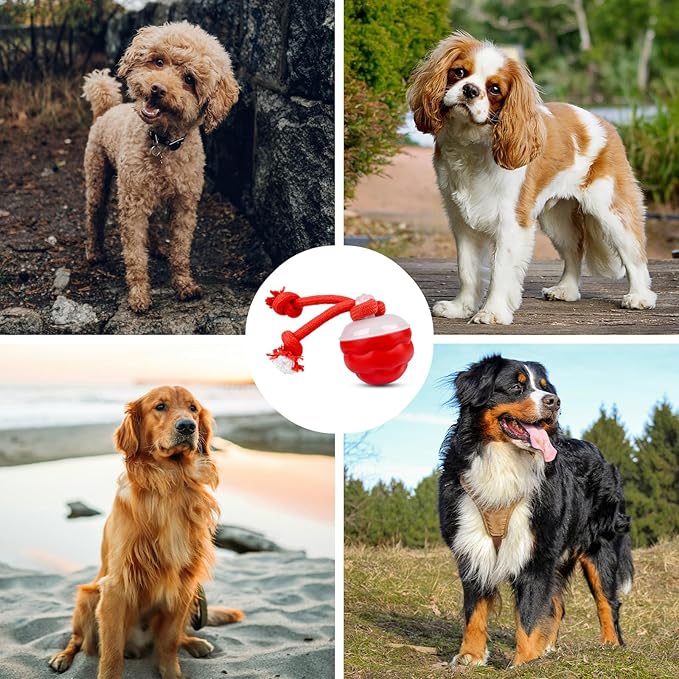 Interactive Dog Toys Multiple Modes Moving Dog Ball with Touch Activated queaky Dog Toy for Small/Medium Puppy Toys for Daily Training (Red)