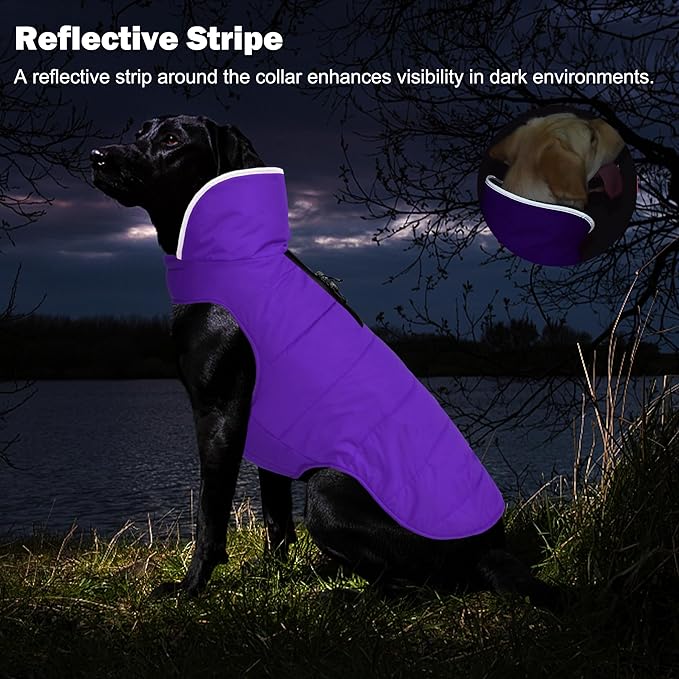 Dog Winter Coat, Waterproof Dog Jacket with Leash Hole, Reflective Adjustable Pet Snow Vest, Warm Fleece Sweater for Small Medium Large Dogs - Purple, M