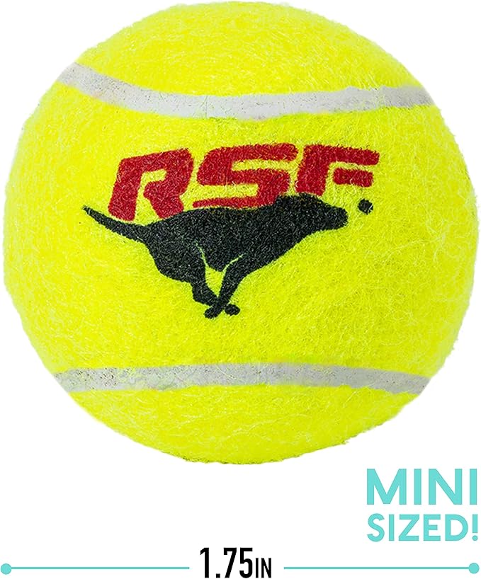 Franklin Pet Supply Co. RSF Squeak Mini 1.75" Tennis Balls - Dog Toy Squeaks When Squeezed - 12 Pack - For Small Dogs - Squeaker Noise