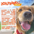 Junior Bully Sticks for Small Dogs | All Natural, Single Ingredient Bully Sticks for Puppies to Medium Dogs (12 Inch - 15pk)