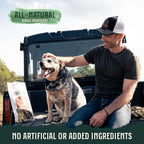 Hank & Roy All-Natural, Single-Ingredient 8-10” Beef Rib Bones for Dogs, Long Lasting, Engaging Dog Bones, Individually Wrapped for Odor Control and Freshness