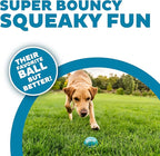 Outward Hound Squeaker Ballz 6-Pack Tennis Ball Dog Toys with Squeaker, Interactive Fetch Play for Pets Under 50 lbs, Training Balls for Indoor & Outdoor Exercise, Medium, 2.5-inch
