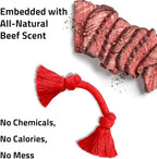 Playology Dog Toys | Dri-Tech Rope Toy Tug of War Rope for Aggressive Chewers | Medium Beef Scented Toy - Easy to Clean and Made from Non Toxic Materials
