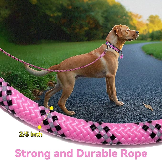 Nylon Dog Leash 6FT 10FT 20FT 30FT Diameter 2/5 Inch with Comfortable Silicone Handle Highly Reflective No Tangle for Medium Large Dogs Outside Walking Camping Backyard. (Pink, 20FT)