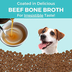 KOHA Limited Ingredient Bland Diet Dry Food for Dogs - Beef & Brown Rice Recipe, Sensitive Stomach Dog Food - Pumpkin for Digestive Support, 20 lbs