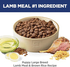 Hill's Science Diet Large Breed Puppy Food, DHA to Support Healthy Development, Lamb & Brown Rice Dry Dog Food, 30 lb. Bag