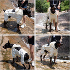 LOVELONGLONG Waterproof Dog Raincoat with Removable Hood – Outdoor Full Body Dog Jacket, Windproof Snowproof Shell Suit – All Season Pet Rain Gear Ivory M