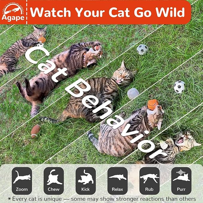 Agape Natural Cat Toys, 100% Catnip & Silvervine Filled, Interactive Chew and Kicker Balls for Indoor Cats, Enrichment and Teeth-Cleaning Fun for Bored Cats and Kittens, 2 Pack Crinkle Cat Toys