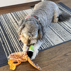 SPOT Skinneeez Mini Mallard Duck 13 Inch Stuffing-Free Plush Squeaky Dog Toy – Soft Interactive Toy for Small and Medium Dogs – Mess-Free Play for Light & Moderate Chewers – Assorted Styles
