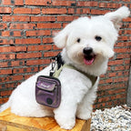 Dog Treat Pouch for Pet Walking and Training with Clicker Poop Bags and Double Bag Design Small Fanny Zipper Pack Holder for Puppy Snack Dispenser Kit for Leash and Outdoor Use (NM-Purple,)