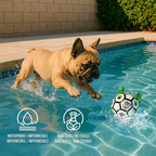 ProBall Pets Interactive Dog Soccer Ball with Grab Tabs - Floats on Water, Fetch & Training Toy for Medium Dogs, Herding Breeds - Waterproof Non-Toxic - 7" White Green