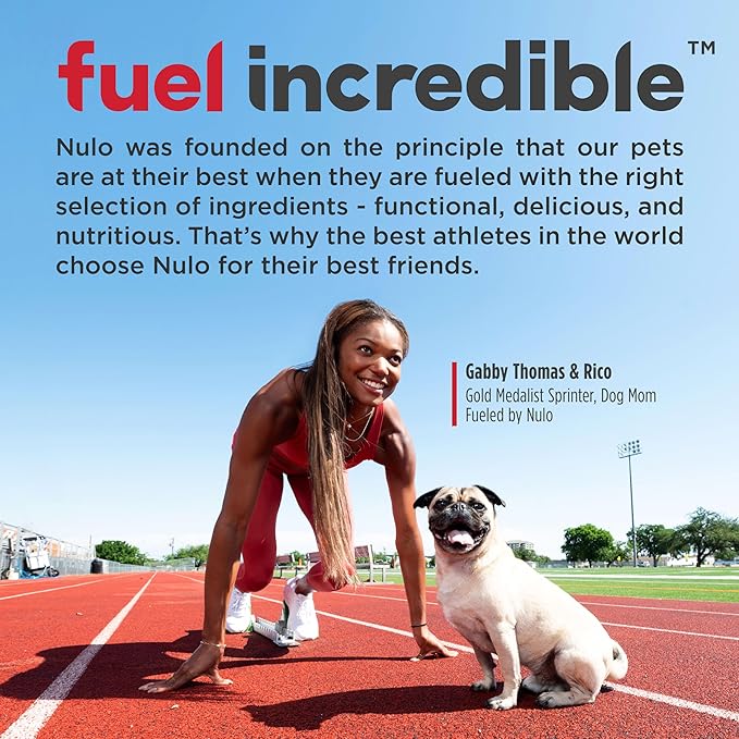 Nulo Freestyle High Protein Small Breed Beef & Sweet Potato Recipe Natural Dry Kibble Dog Food, 6 Pound Bag