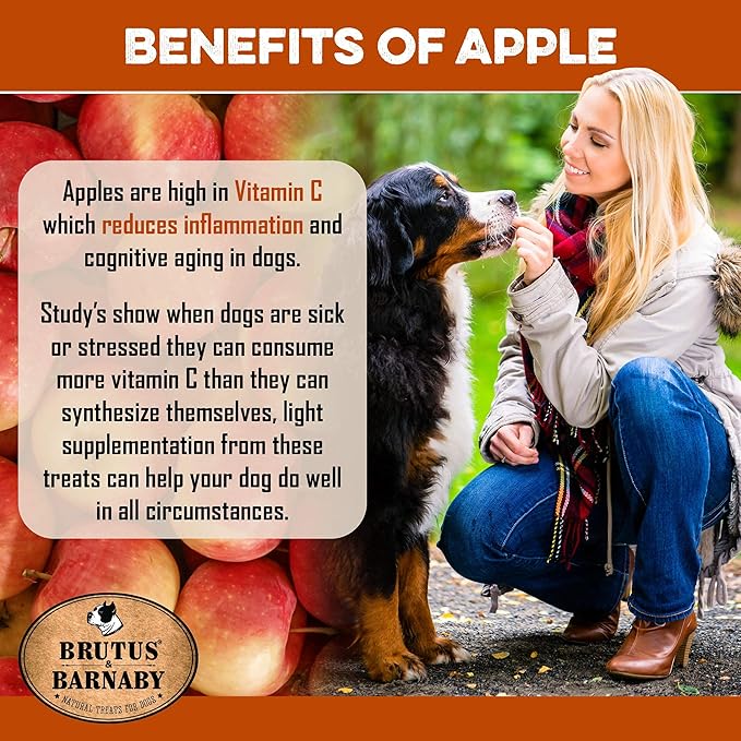 BRUTUS & BARNABY USA Sweet Potato Dog Treats - Crunchy Grain Free Cinnamon Apple Sticks, Promotes Positive Gut Health with Natural Anti-Diarrhea Properties (Cinnamon & Apple, 2 lb)