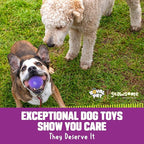 Gnawsome™ 3.5” Spiky Squeak & Light Ball Dog Toy - Medium, Cleans Teeth and Promotes Good Dental and Gum Health for Your Pet, Colors will vary, 3.5"