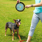 ZooBee Flying Disc Dog Toy – Dog Vision Friendly Colors – Soft & Durable Frisbee for Outdoor Play, Water Fetch & Pool Fun – Safe on Teeth – Floating Dog Toy – Lightweight & Easy to Throw