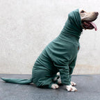Extra Large Dog Pajamas Pjs Bodysuits Full Body Coverage Onesie Clothes Anxiety Calming Surgery Recovery Suit for Great Dane, Dark Green, 8X-Large