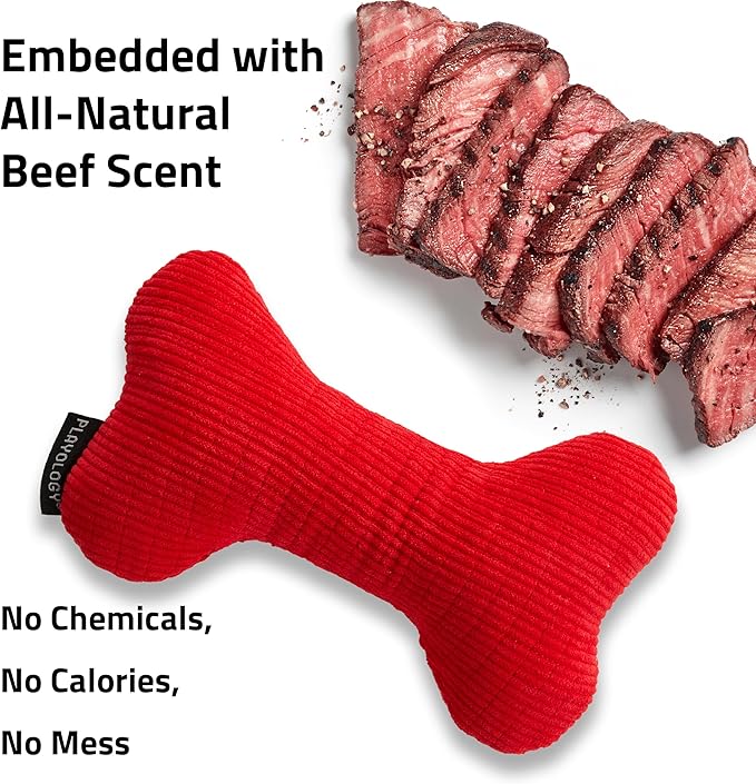 Playology Dog Toys | Plush Squeaky Bone Chew Toy for Dogs | Jumbo Beef Scented Toy - Easy to Clean and Made from Non Toxic Materials