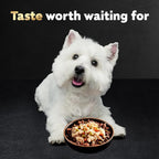 Cesar Simply Crafted Adult Wet Dog Food Meal Topper, Chicken, Duck, Purple Potatoes, Pumpkin, Green Beans & Brown Rice, 1.3oz. (10 Count, Pack of 1)