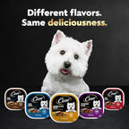 Cesar Wet Dog Food Classic Loaf in Sauce Filet Mignon and Porterhouse Steak Flavors Variety Pack, 3.5 oz. Easy Peel Trays (12 Count, Pack of 2)