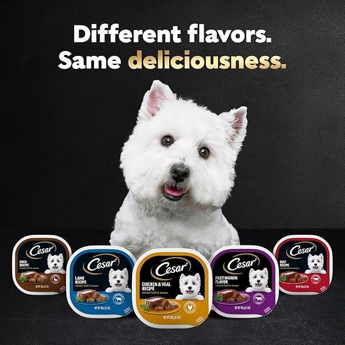 Cesar Wet Dog Food Classic Loaf in Sauce Filet Mignon Flavor, Porterhouse Steak Flavor, Grilled Steak & Eggs Flavor, and Beef Recipe Variety Pack 3.5 oz. Easy Peel Trays (60 Count)