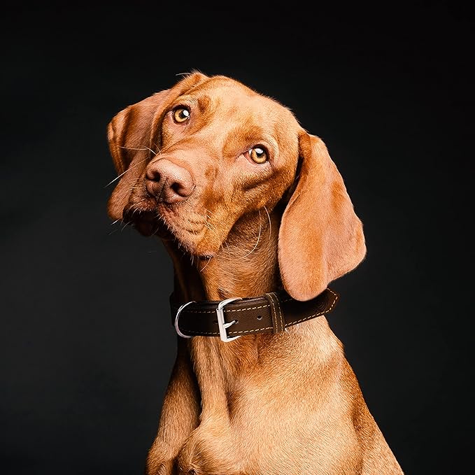 Riparo Dog Collar - Genuine Leather Dog Collars - Heavy Duty Dog Collars for Medium Large and Extra Large Dog Breeds (M: 1” Wide for 14” - 18” Neck, Brown)