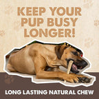 Mighty Paw Split Elk Antlers for Dogs (Sourced in The USA) | 2 Whole Medium 6"+ Long Lasting Bones for Aggressive Chewers - Naturally Shed Split Deer Antler for Dogs - Low Odor Chews (Pack of 2)
