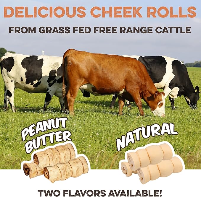 Premium Beef Cheek Rolls for Dogs 10-12" - (3-Pack), Peanut Butter Flavored Long Lasting, Safe & Natural Rawhide Alternative Chews, Ideal for Large Dogs & Aggressive Chewers, Supports Dental Health