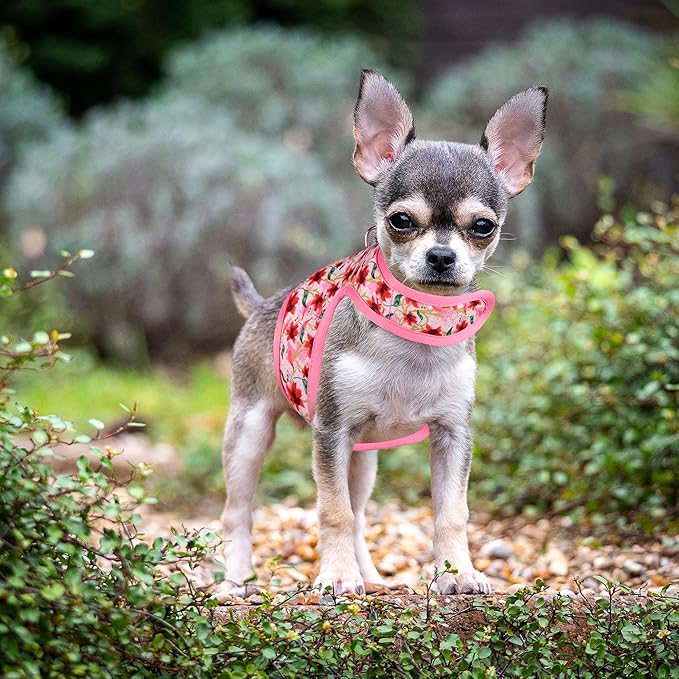 Mile High Life Dog Harness, Air Mesh Floral Vest Harness for 20 lbs Small Dogs & Cats, Easy Get on Adjustable Easy Closures Both Neck and Chest(Lily, S Chest 16"-18")