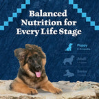 Blue Buffalo Wilderness Puppy High-Protein Dry Dog Food with Real Chicken, Grain-Free, Made in The USA with Natural Ingredients, Chicken, 4.5-lb. Bag (Pack of 4)