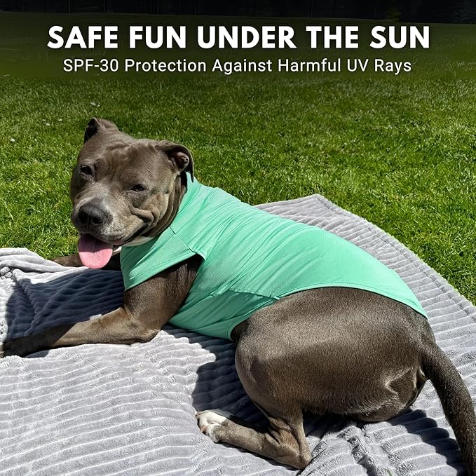 Spark Paws Sunblock Dog T-Shirt, SPF30 Protection, Lightweight Breathable Quick Dry for Dogs with Sensitive Skin - Peach & Mint (Set of 2) - 4XL