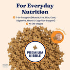 Solid Gold Dry Cat Food for Indoor Cats of All Ages - W/Lamb, Brown Rice, Barley, Probiotics & Fiber for Gut Health- Holistic & Healthy Cat Kibble for Kittens & Adults - Dry Kibble for Cats - 4 LB