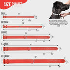 Riparo Red Dog Collar, Dog Collars for Medium Dogs, Leather Dog Collar for Medium Dogs (M: 1" Wide for 13.5”-17.5” Neck, Red)