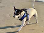 Gooby Escape Free Easy Fit Harness - Blue, X-Small - No Pull Step-in Patented Small Dog Harness with Quick Release Buckle - Perfect On The Go No Pull Harness for Small Dogs or Medium Dog Harness