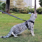 Cat Harness and Leash Set Escape Proof Tactical Medium Kitten Harness Emotional Support Cat Vest, Grey, M