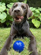 SuperChewy Tough Dog Ball Toy | Strong Natural Rubber | Great Dog Fetch Toy | Chew Toy for Dogs | Ultra Durable Chew Toy for Aggressive Chewers