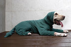 Extra Large Dog Pajamas Pjs Bodysuits Full Body Coverage Onesie Clothes Anxiety Calming Surgery Recovery Suit for Great Dane, Dark Green, 8X-Large