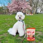 Farm To Pet Dog Training Treats, Healthy Turkey Chips for Dogs - 4 oz, 100% Human Grade Turkey Breast, All Natural, Single Ingredient, Low Allergen Treats for Dogs and Puppies, Made in USA