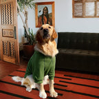 Basic Dog Hoodie, Premium Dog Sweater Pullover, Soft & Comfy Cotton Pet Clothes Hoodies with Hat and Leash Hole, Doggy Puppy Sweatshirt Coat for Small Medium Large Dogs - Army Green (Medium)