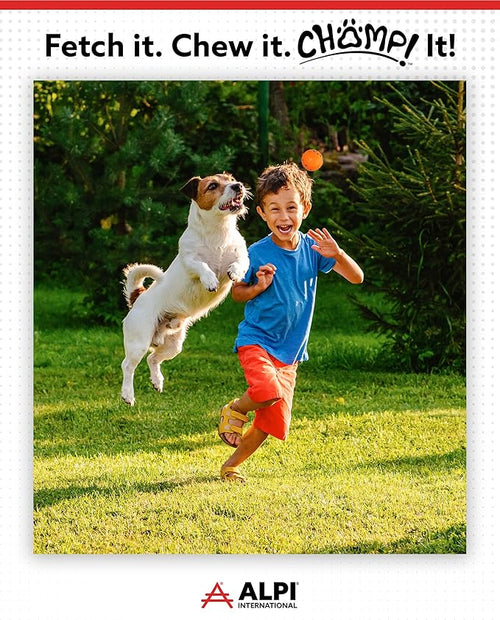 ALPI Chomp Ball - Durable Chew Toys for Dogs & Other Pets - Stimulating Dog Toys for Aggressive Chewers - Soft Dog Chews - 3-Pack, Orange
