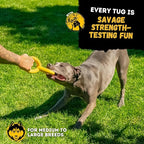 Tug Rings – Indestructible Dog Toy for Aggressive Chewers – Durable Power Chewer Toy – Tough, Heavy Duty Natural Rubber – Safe & Non-Toxic Medium/Large Breed – 6.5in