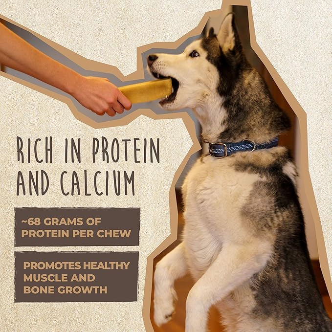 Mighty Paw Yak Cheese Chews for Dogs | All-Natural Long Lasting Pet Treats. Odorless and Great for Oral Health. Limited-Ingredient Chews for Puppies & Power-Chewers (Monster, 1 Pack)