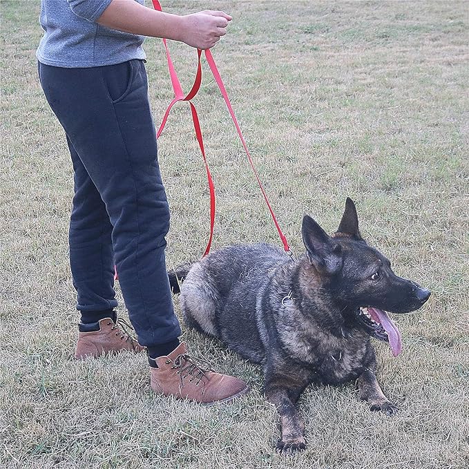 Dog/Puppy Obedience Recall Training Agility Lead - 15ft 20ft 30ft 40ft 50ft Training Leash - Great for Play, Camping, or Backyard - Pink 30ft