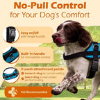 Bark Appeal Aqua Blue No-Pull Dog Harness for XS to Small Sized Pets – Adjustable, Reflective Vest with 3 Leash Clips for Added Control, Easy Walks & Training – Small
