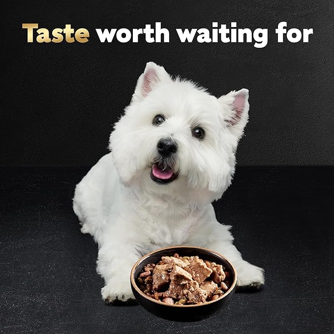 Cesar Wet Dog Food Loaf in Sauce Bacon Feast Variety Pack, 3.5 oz. Easy Peel Trays (12 Count, Pack of 2)