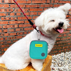 Dog Treat Pouch for Pet Walking and Training with Clicker Poop Bags Small Fanny Zipper Pack Holder for Puppy Snack Dispenser Kit for Leash and Outdoor Use （Green）