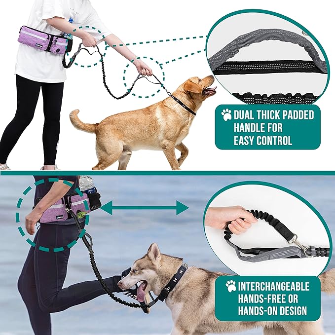 PetAmi Hands Free Dog Leash, Running Leash Belt Bag for Walking, Jogging, Waist Double Zipper Pouch with Poop Dispenser, Dual Padded Handles Reflective Bungee Double, Purple, 2 Leashes