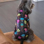 CuteBone Winter Dog Jacket - Reversible, Windproof & Waterproof, Thick Soft Coat with Leash Hole for Small to Large Dogs